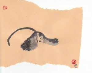 Cavalier KIng Charles sleeping