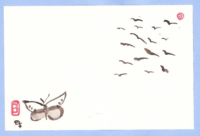 Butterfly and birds