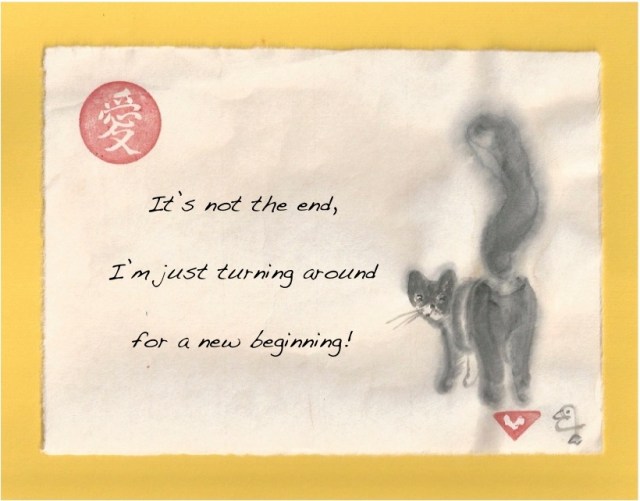 cat turning new begining