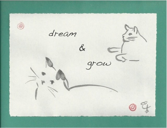dream&grow cat