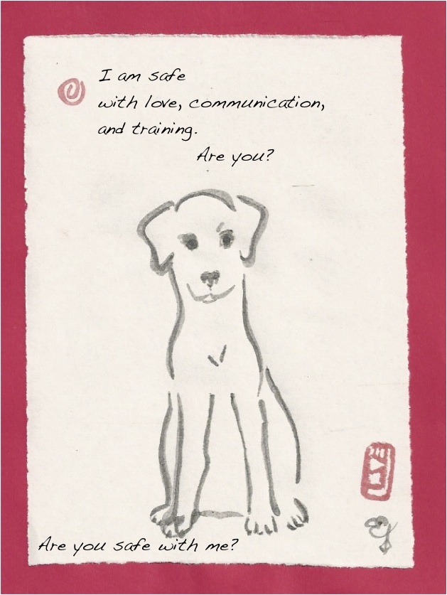 safe - Rottie pit teen