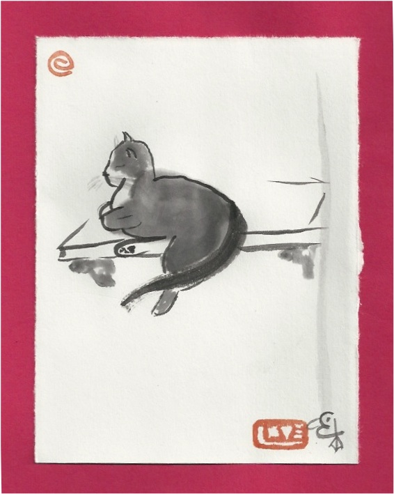 taocat balance shelf