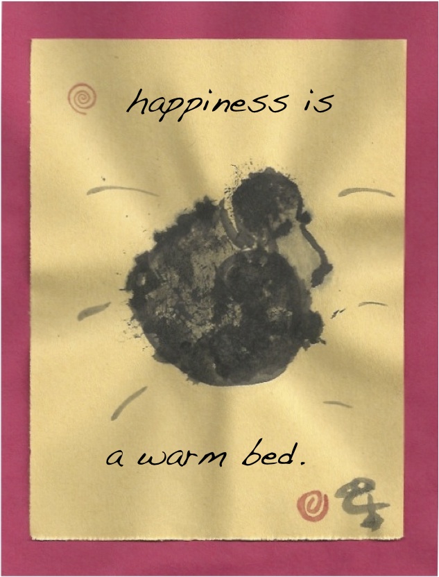 happy warm bed poodle