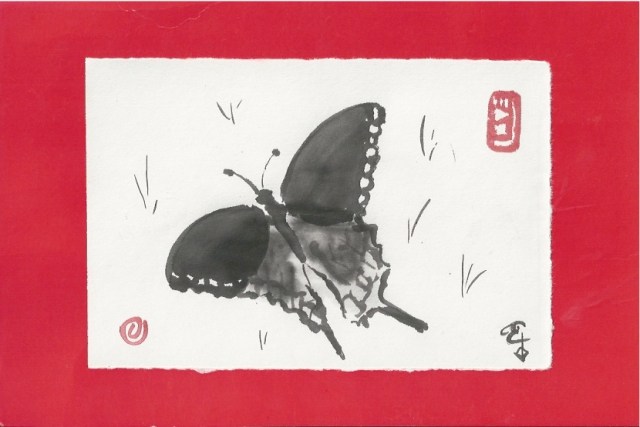 butterfly on the grass