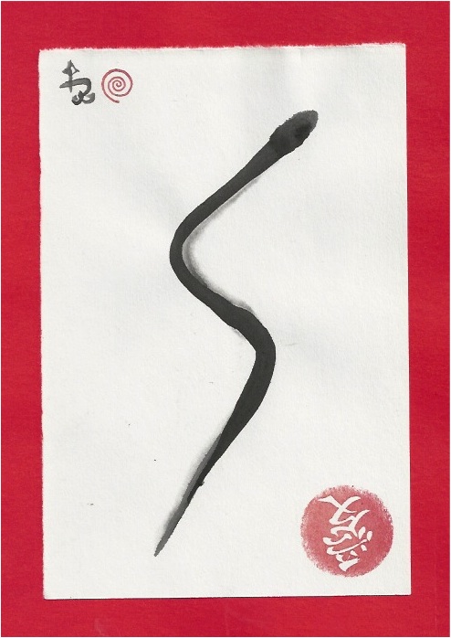 dead snake from the earth