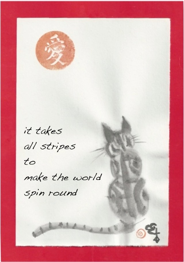 taotabby spins the world