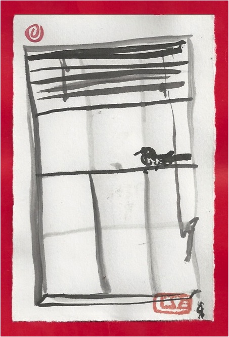 window bird right venitian blinds