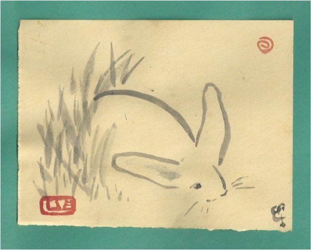 bunny in grass