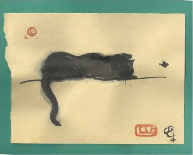 cat & bug