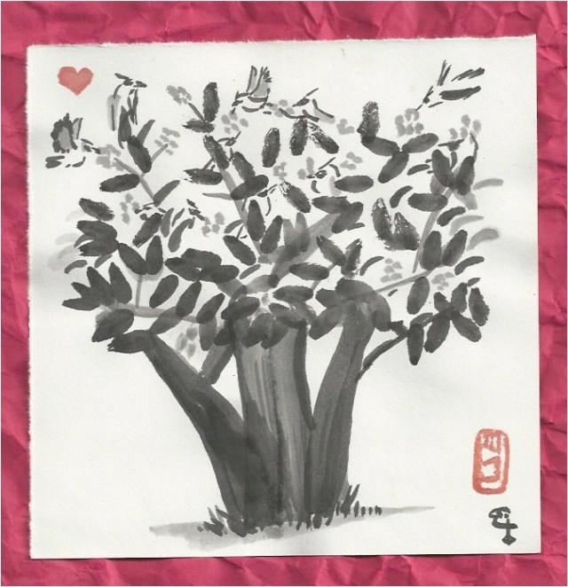 cedar waxwing loquat flock 2