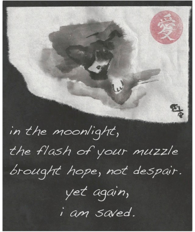 oreo in the moonlight