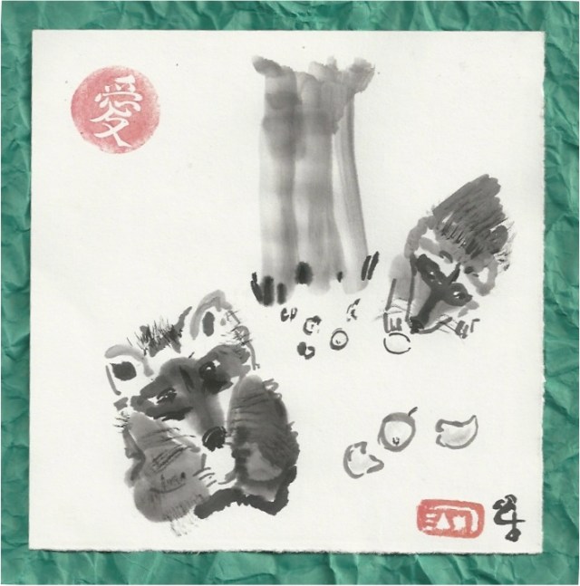 racoons eating loquats