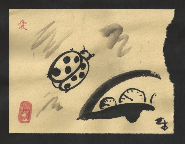 big ldybug windsheild