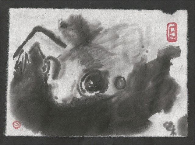 frog in stormdrain closeup