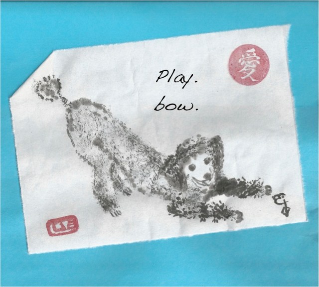 poodle play bow