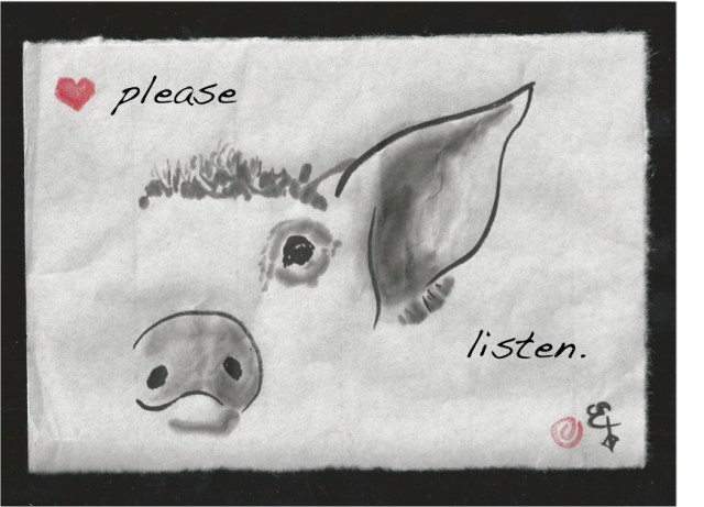 listen pig