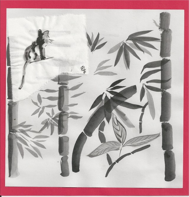 tao cat curious studies a study