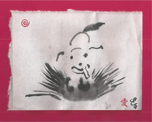 daisy puddle jump in