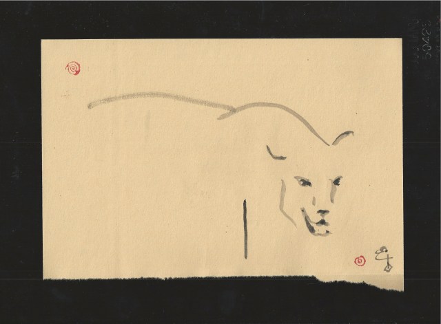pathera