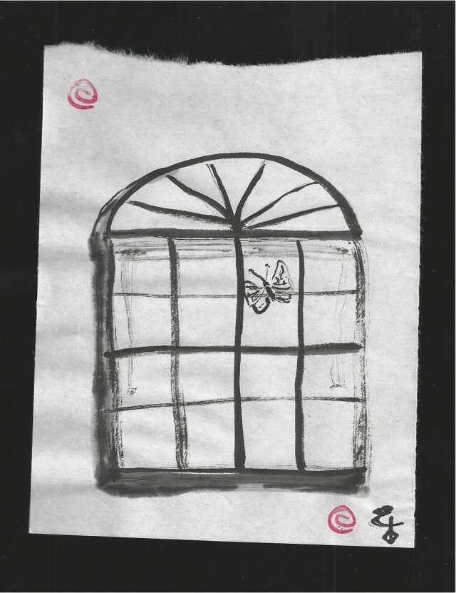 butterfly outside of the window