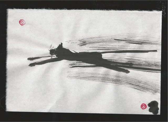 rushing dashing taokitty