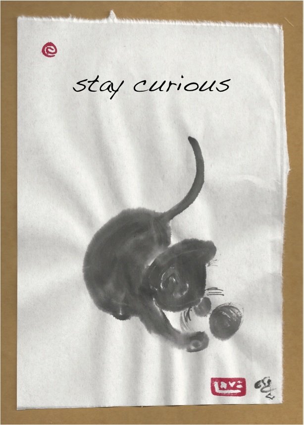 stay curious