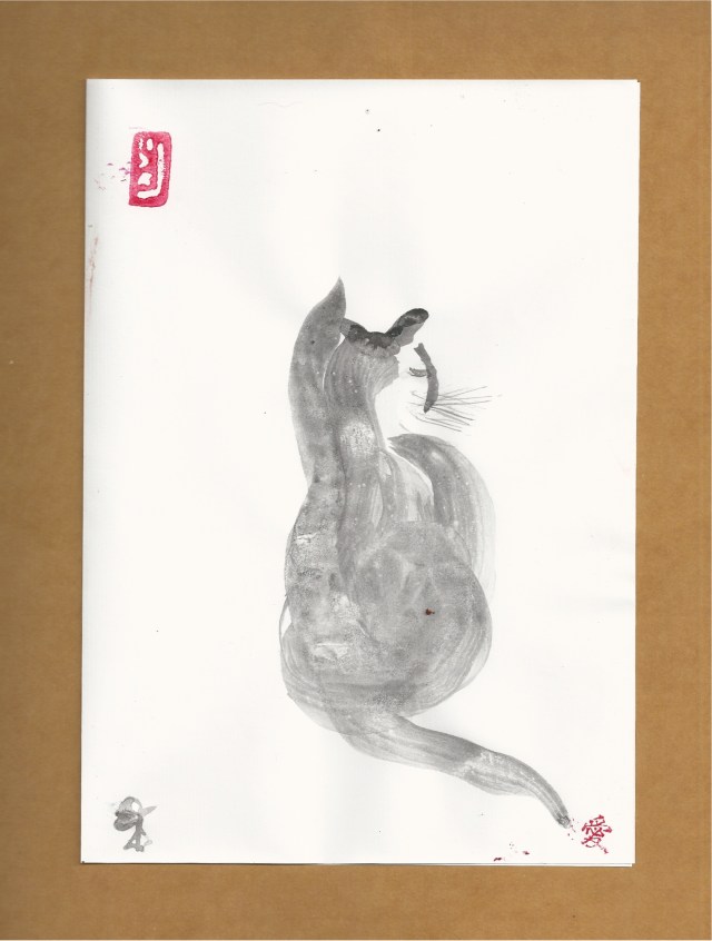 cat looking overshoulder