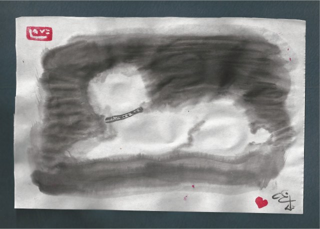 poodle in the shadows