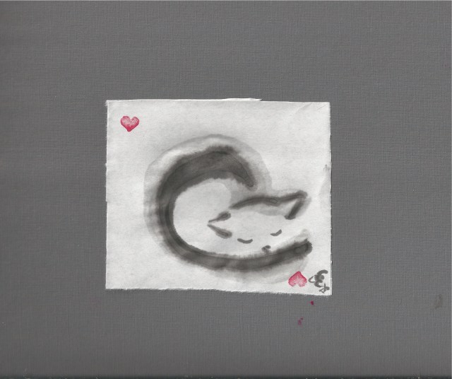 soft grey kitten rescued