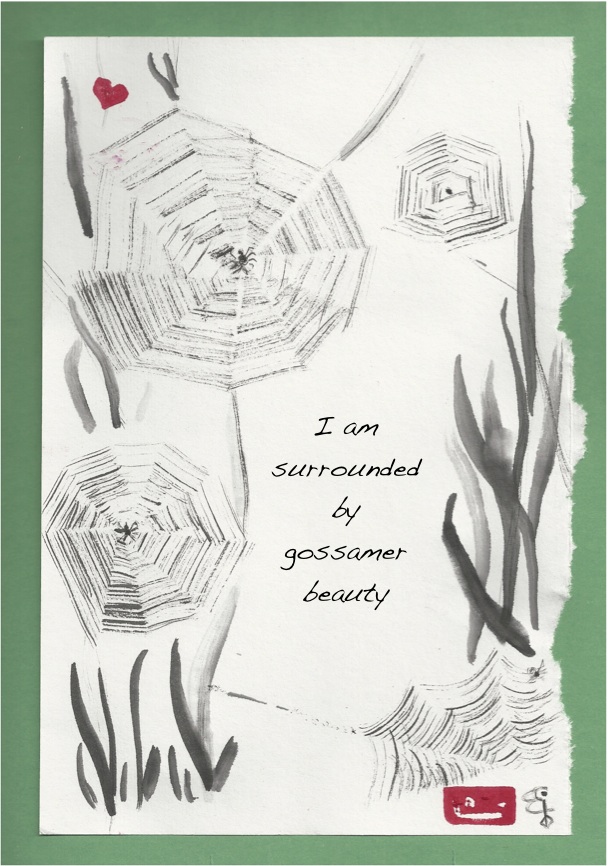 surrounded by beauty web