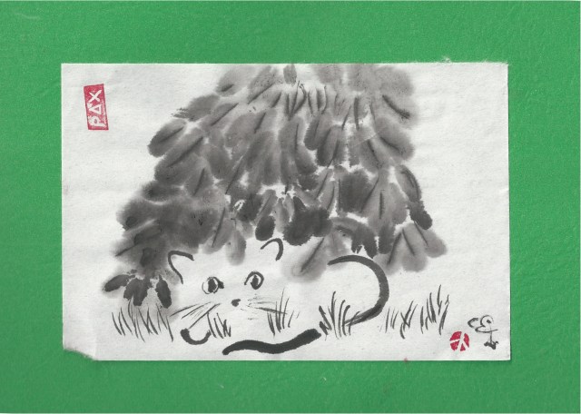 cat under bush hiding