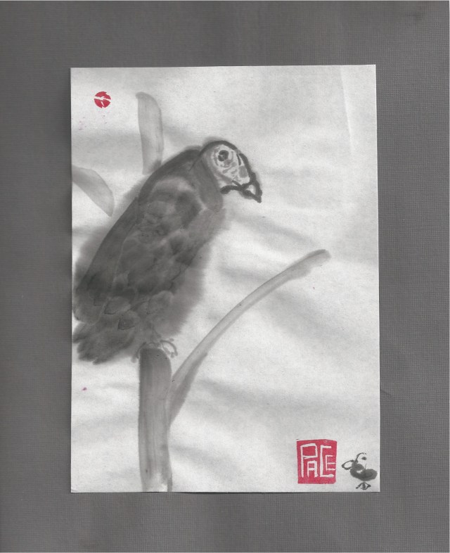 turkey vulture on dead tree