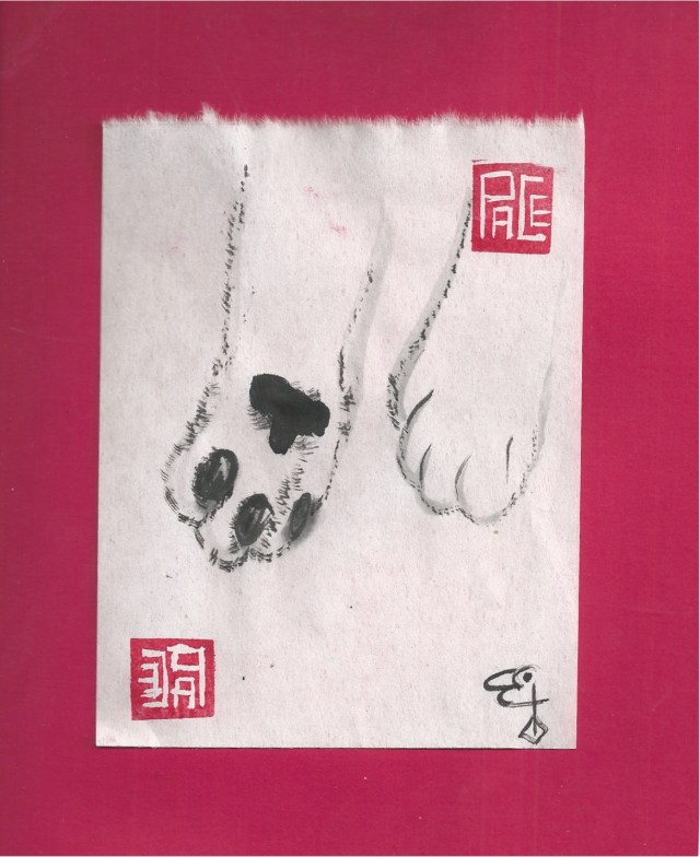 holiday paws kitten paws