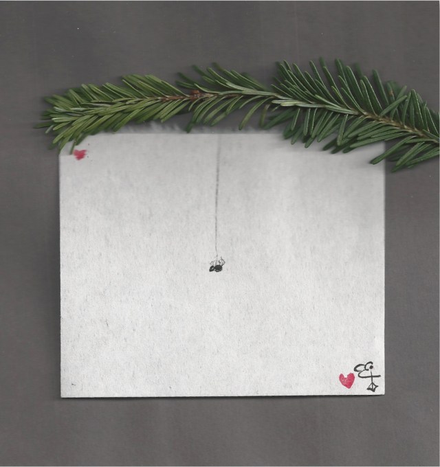 spidey from balsam branch