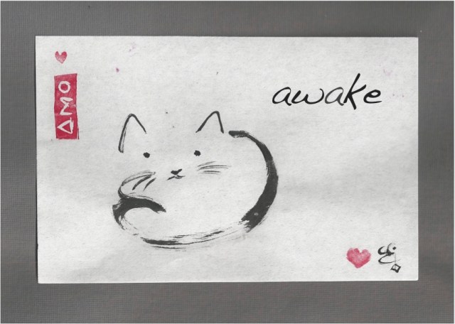 tao kitty awake