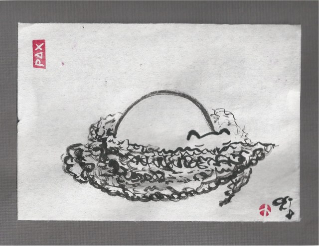 cat cuddling in shawl