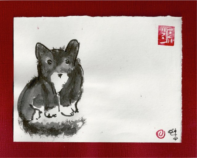 questioning oreo zen