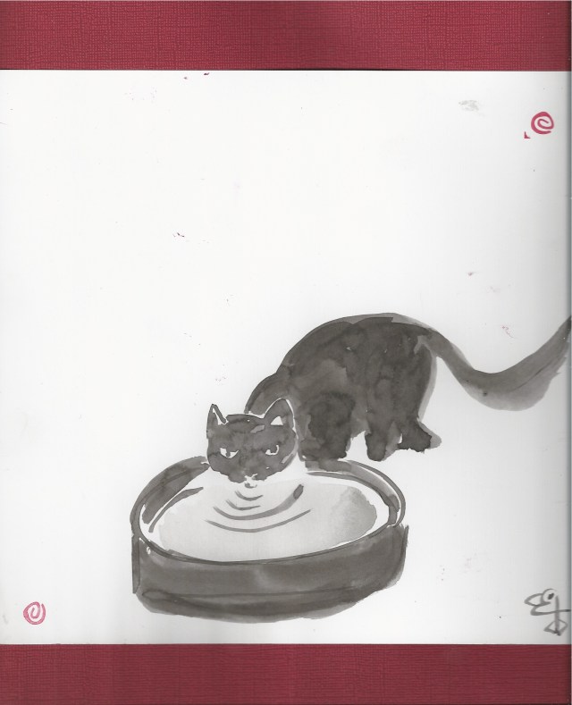 soft cat drinking from bowl