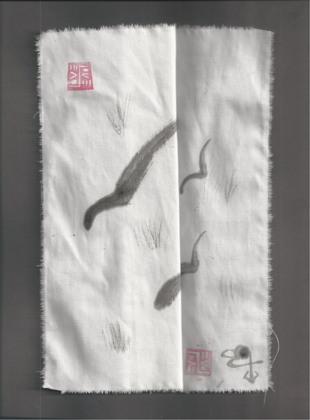 bird shadows on grass