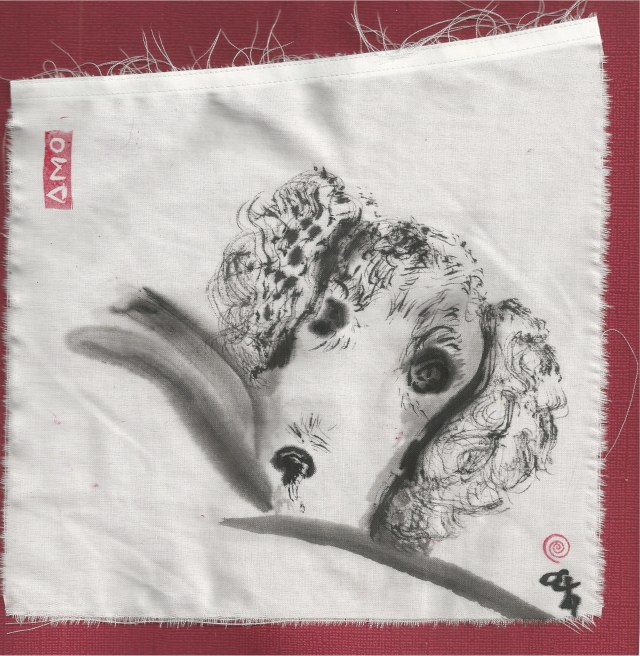 shirt of my back poodle