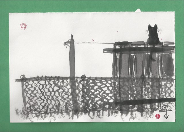 black cat on new fence