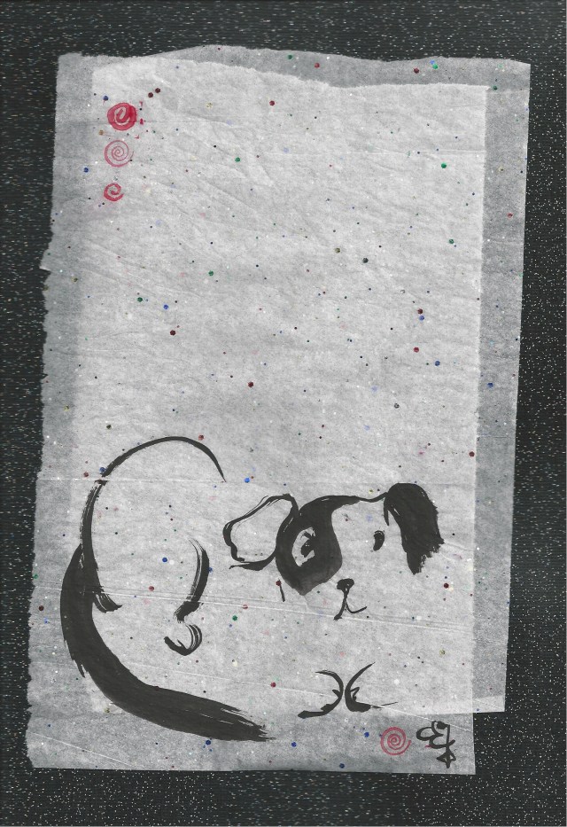 tao puppy in the nite sky