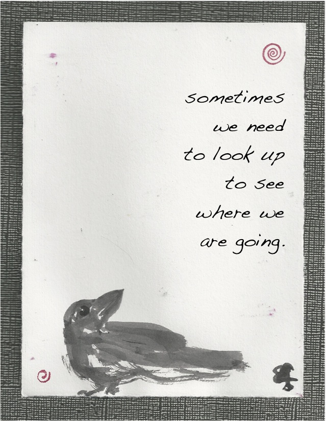 crow look where u r going