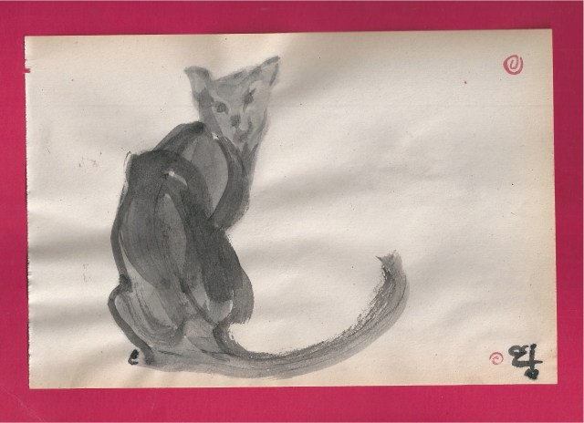 black cat looks back