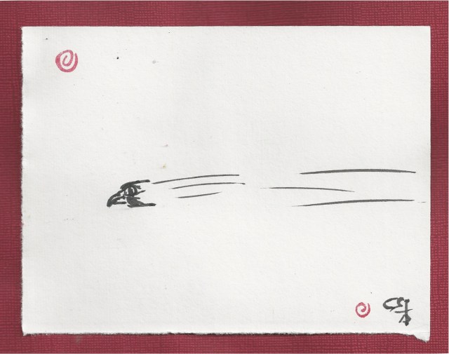 falcon speeds shoulder height