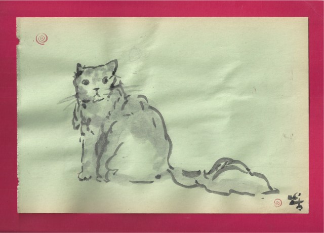 persian cat looks back