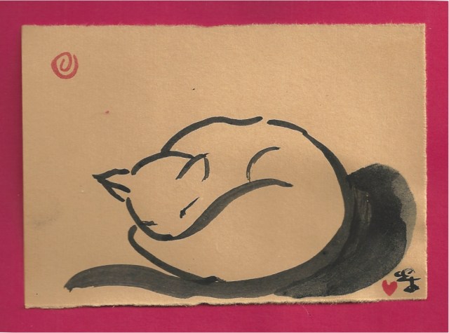 sleeping cat with shadow