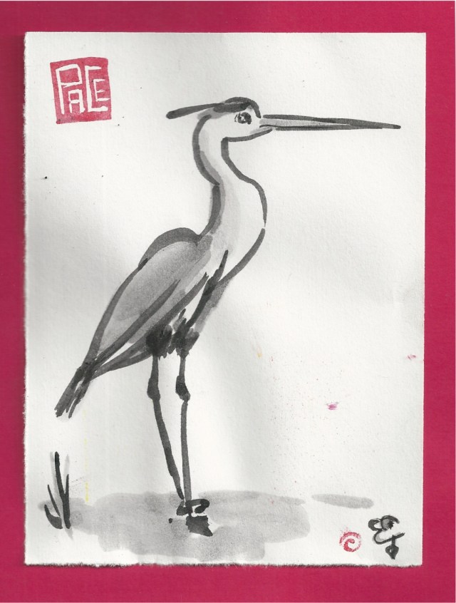 heron standing