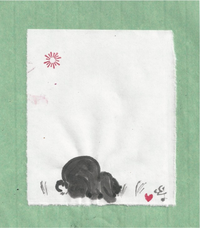 lop earred bunny eating grass