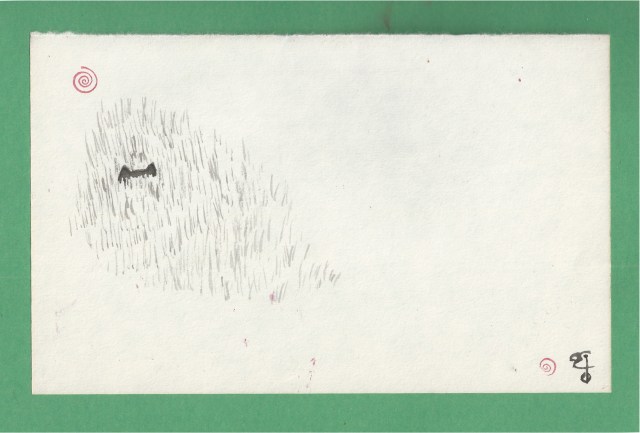 presto in the grass long shot